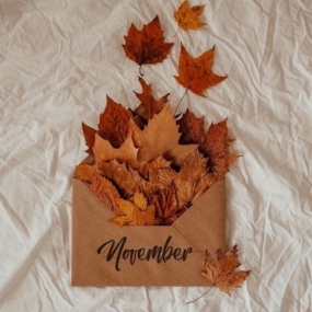 29(水)のありがとっ