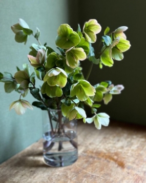 17(火)のありがとっ