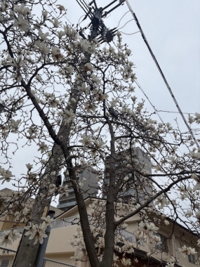 前座のように。