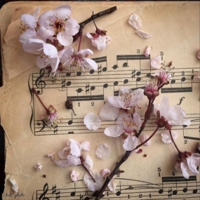 17(火)のありがとっ