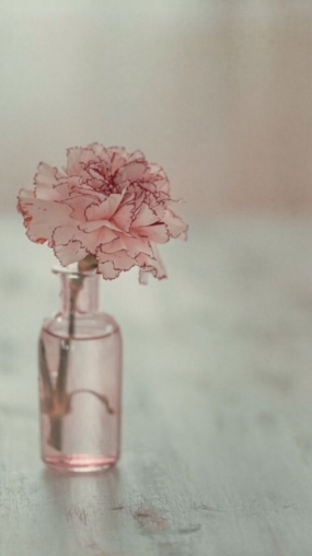 27(金)のありがとっ